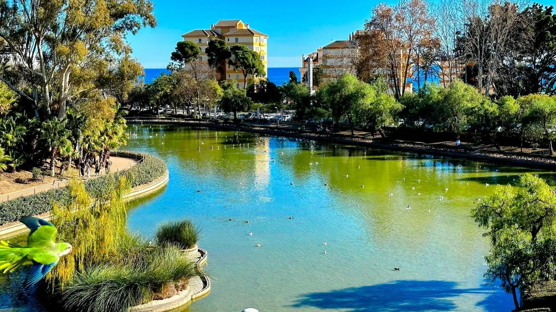 Apartament Estudio Francisco Agata Benalmádena